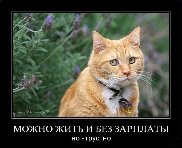 Интерес брокера