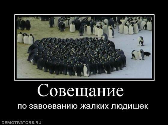 На совещании прикольные картинки