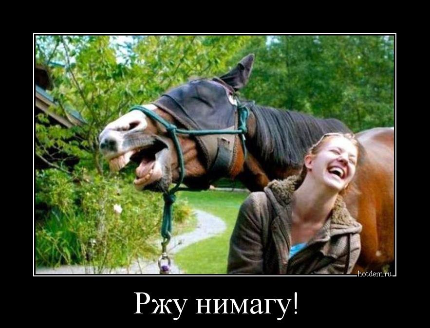 Картинки чтобы поржать