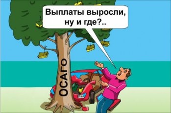 Оформление ОСАГО, зеленых карт, договоров купли-продажи и техосмотров в Калининграде