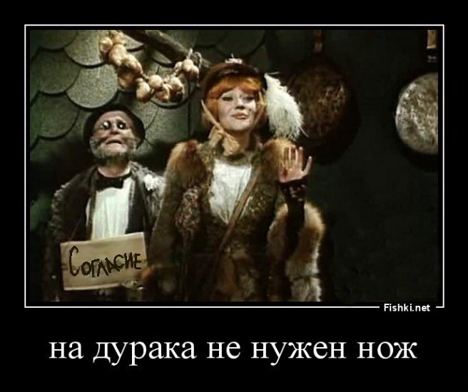 Круглый дурак картинки